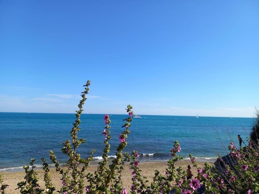 Studio Port Du Cap D'Agde Luaran gambar
